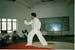 Youqin16